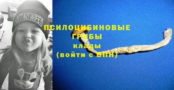 ешки Новокубанск