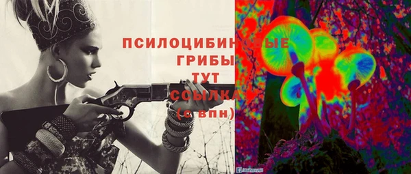 ешки Новокубанск
